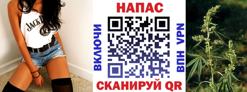 Конопля LSD WEED  Шилка 